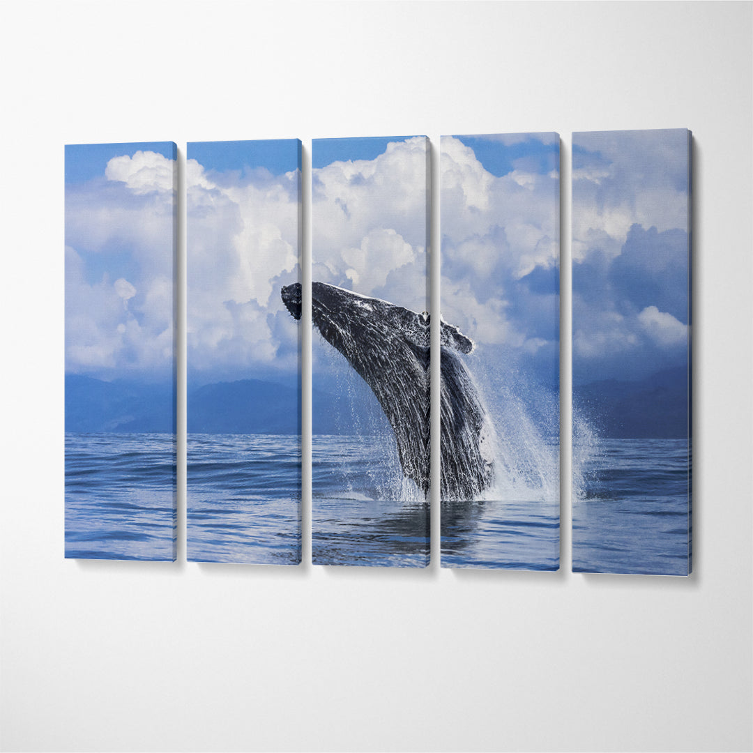 Humpback Whale Costa Rica Canvas Print ArtLexy 5 Panels 36"x24" inches 