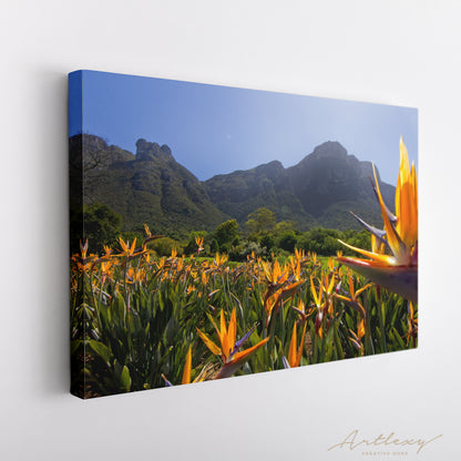 Strelitzia Flowers (Bird of Paradise Flower) at Kirstenbosch Gardens Cape Town South Africa Canvas Print ArtLexy   