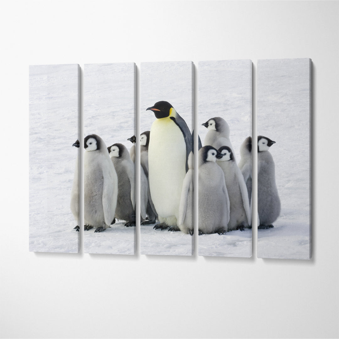Emperor Penguins in Antarctica Canvas Print ArtLexy   