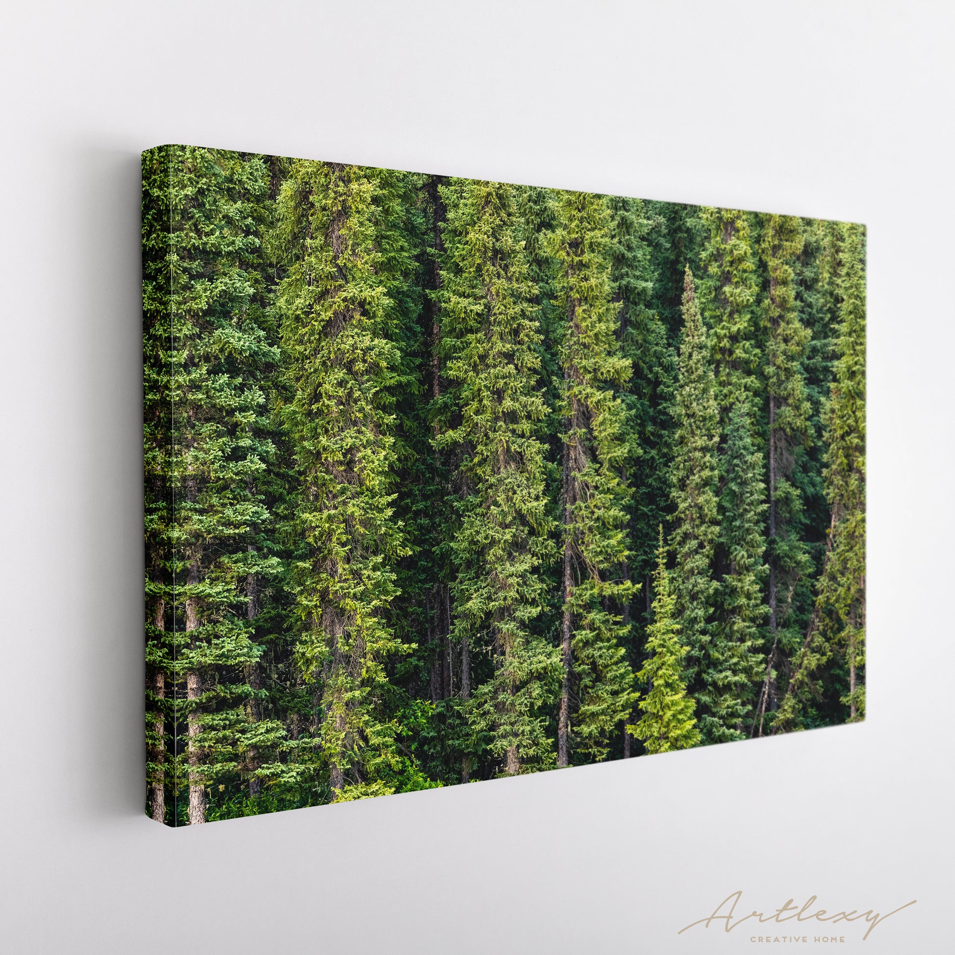 Tongass National Forest Alaska Canvas Print ArtLexy   