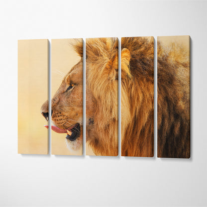 Big Lion in Masai Mara Kenya Canvas Print ArtLexy 5 Panels 36"x24" inches 