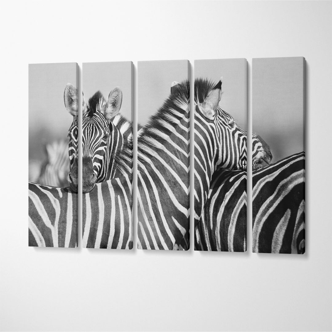 Zebra Couple in Black and White Canvas Print ArtLexy 5 Panels 36"x24" inches 