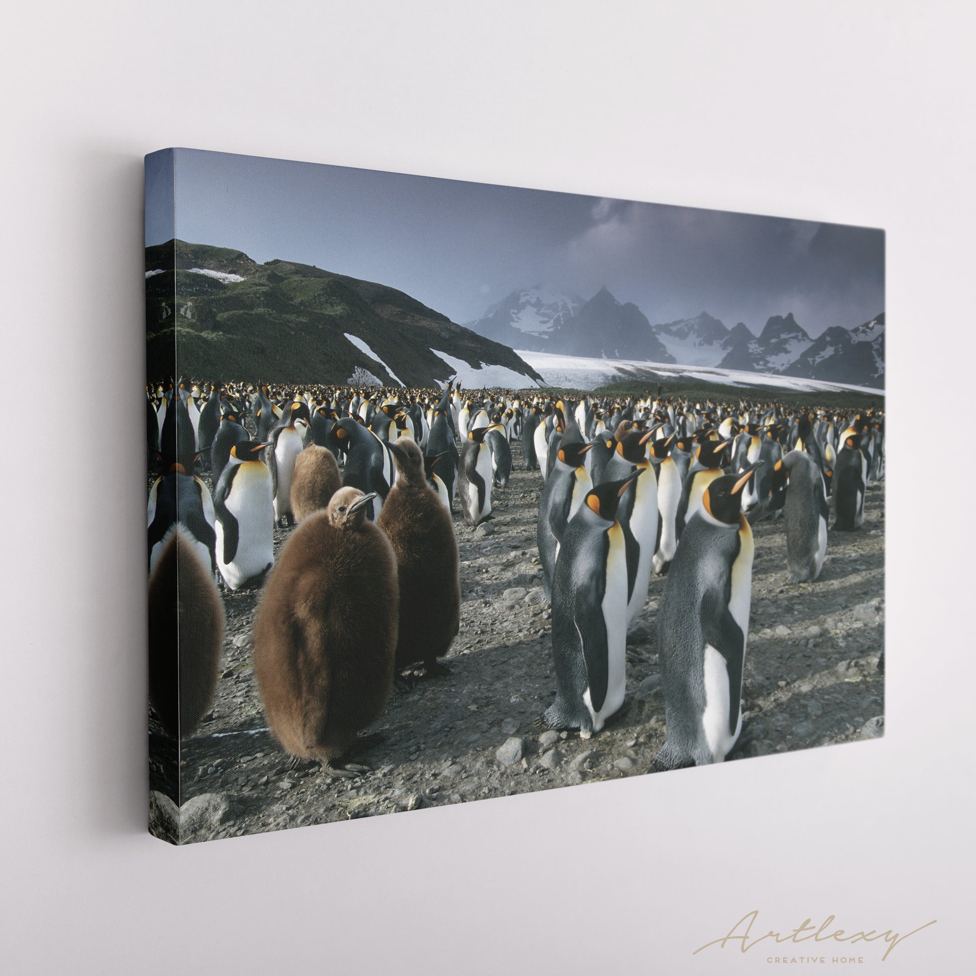 King Penguins Canvas Print ArtLexy   