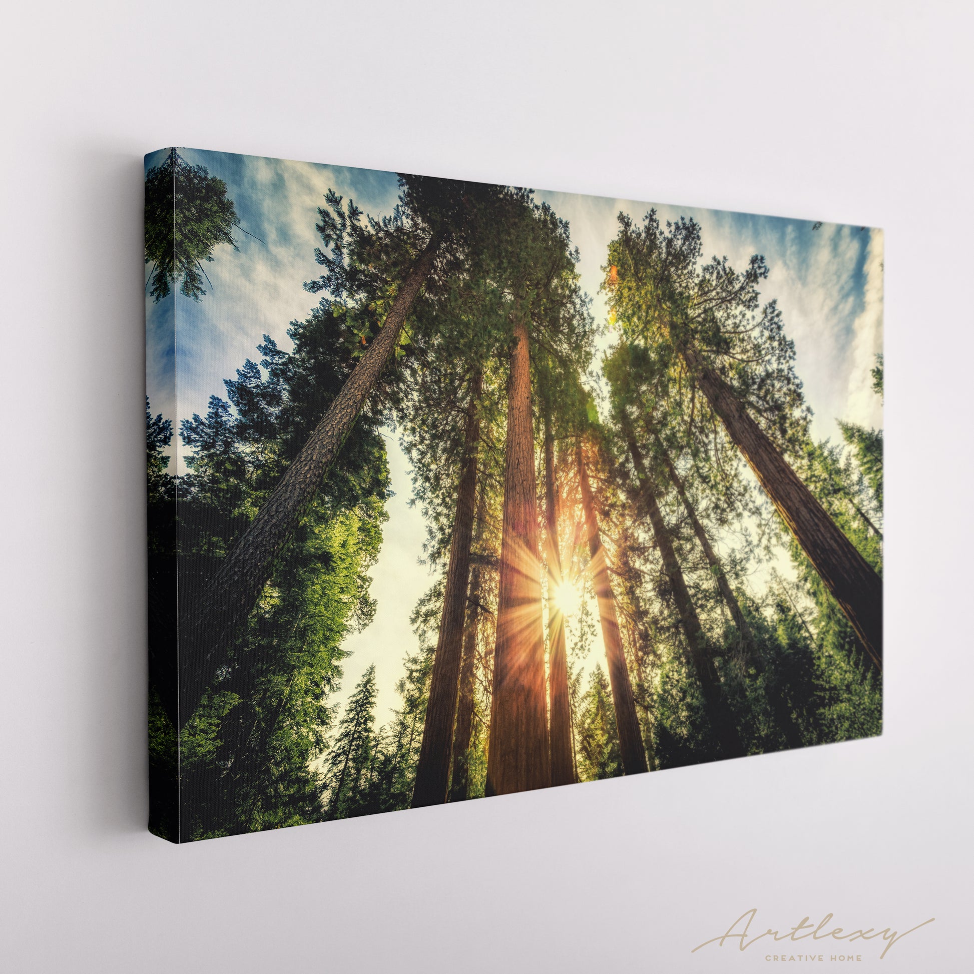 Giant Sequoias Yosemite National Park Canvas Print ArtLexy   