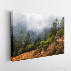 Mount Tamalpais State Park Canvas Print ArtLexy   